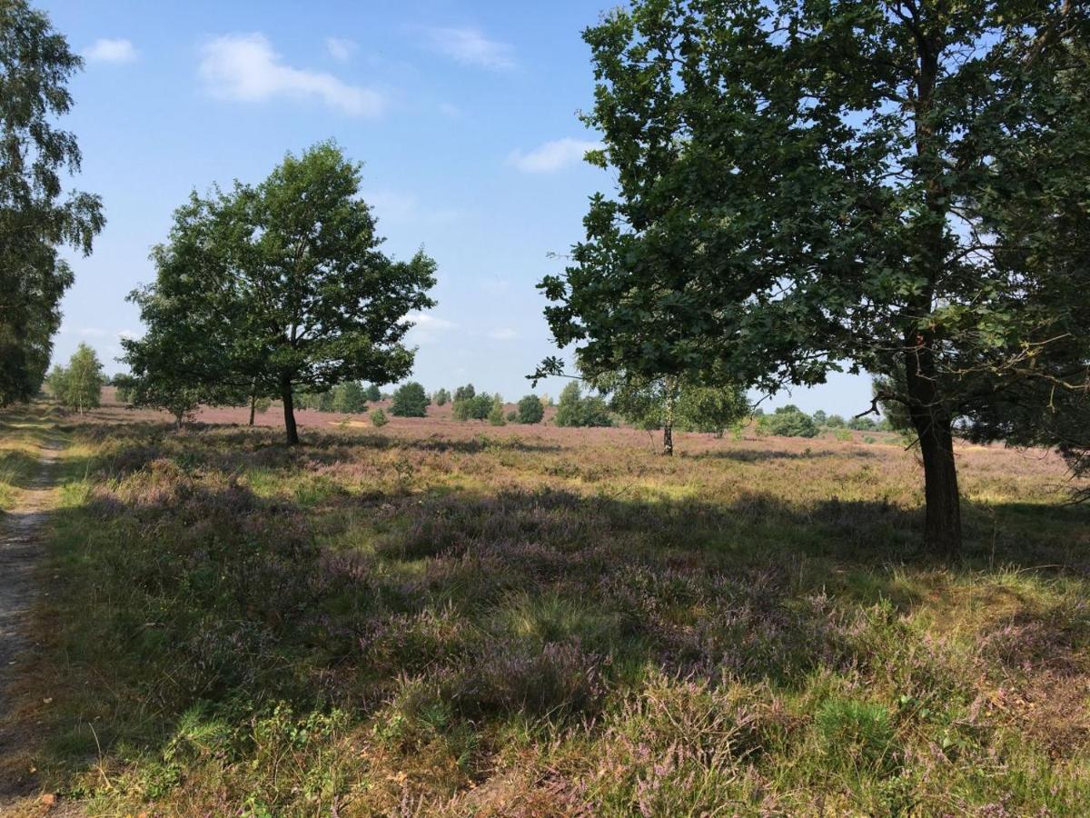 Ferienhof Timmerloher Heide Soltau Zewnętrze zdjęcie