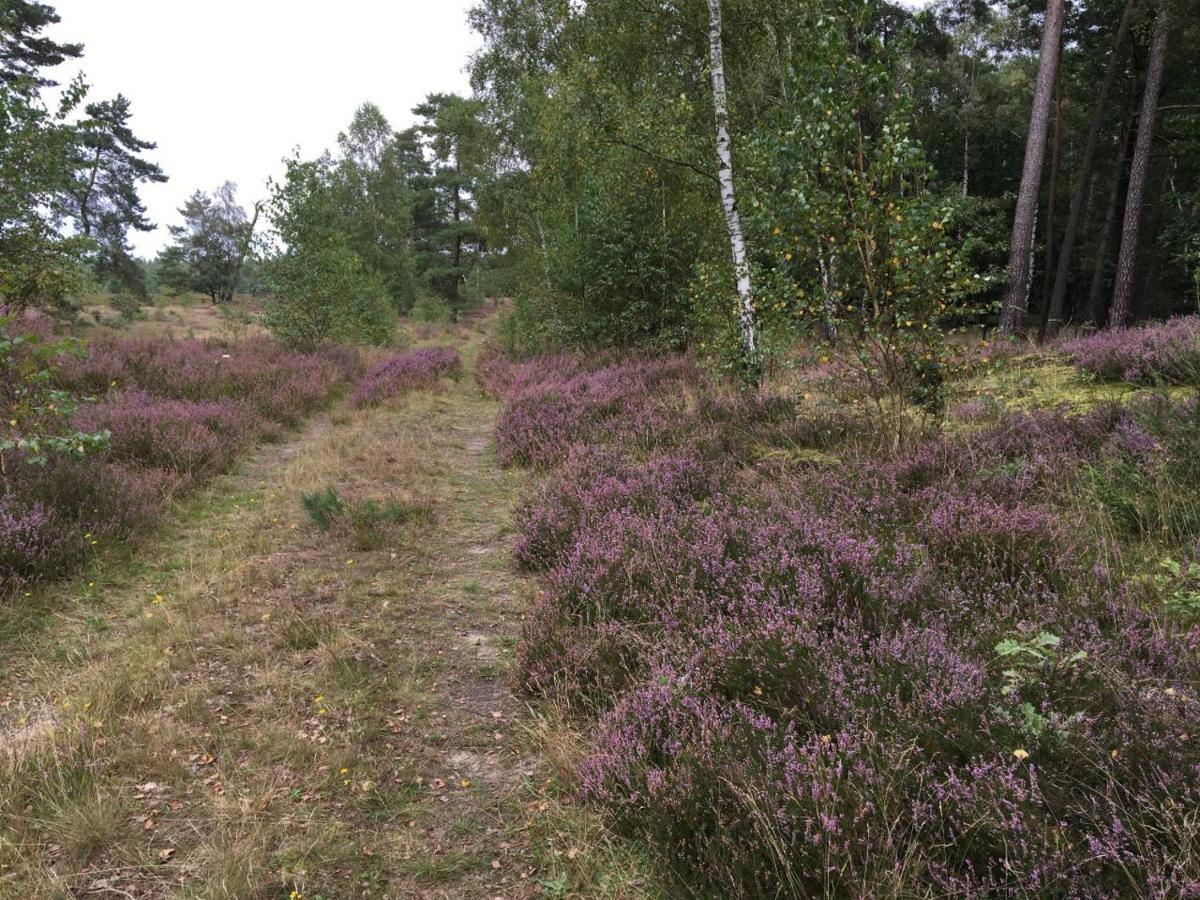 Ferienhof Timmerloher Heide Soltau Zewnętrze zdjęcie