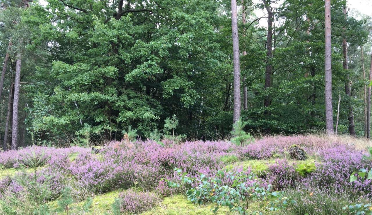 Ferienhof Timmerloher Heide Soltau Zewnętrze zdjęcie